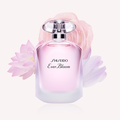 Shiseido Beauty Expert 11 - 16 Dicembre
